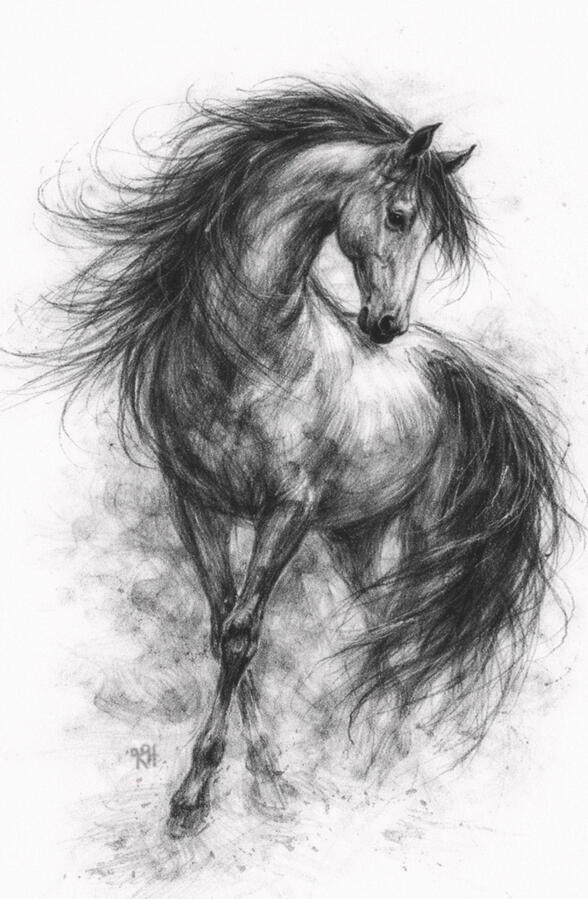 Untamed Soul reveals freedom, movement, and the untamed essence of life. Each piece stands beautifully on its own, while together they share a deeper story of strength, grace, and freedom.