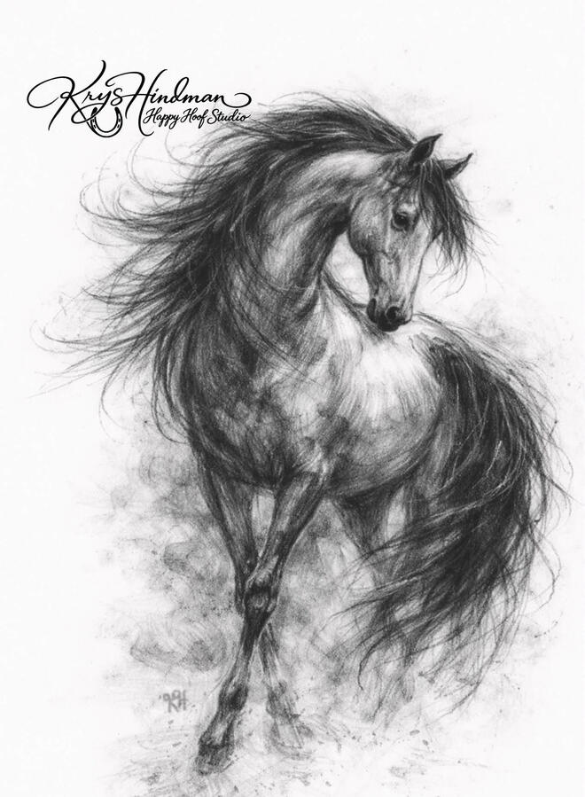 Untamed Soul reveals freedom, movement, and the untamed essence of life. Each piece stands beautifully on its own, while together they share a deeper story of strength, grace, and freedom.
