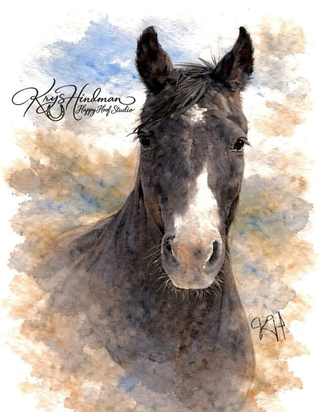 Levi