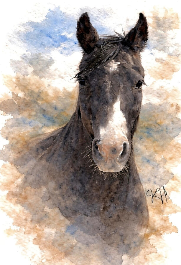 Levi
